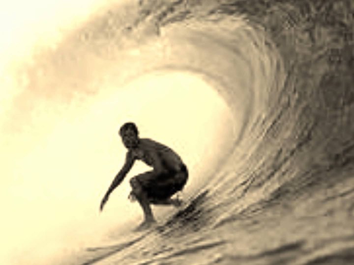 Surfer's Rule The Beach Boys Lead By Brian & Dennis Wilson