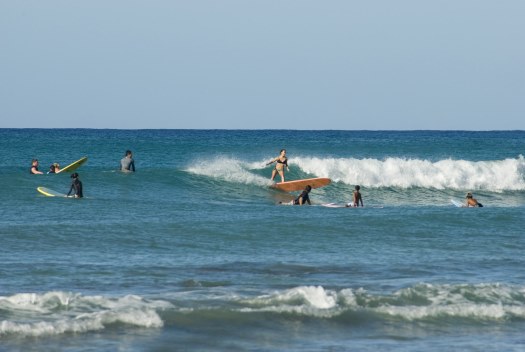 Free Stock photo of Surfers surfing at Waikiki beach, Hawaii ...

